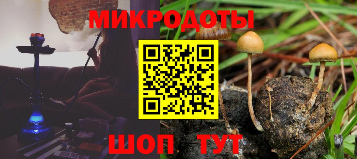 Строитель  Галлюциногенные грибы мицелий  Вход с VPN 