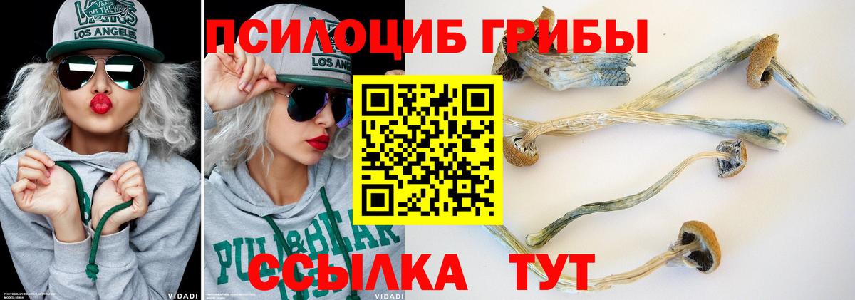 Галлюциногенные грибы MAGIC MUSHROOMS Строитель